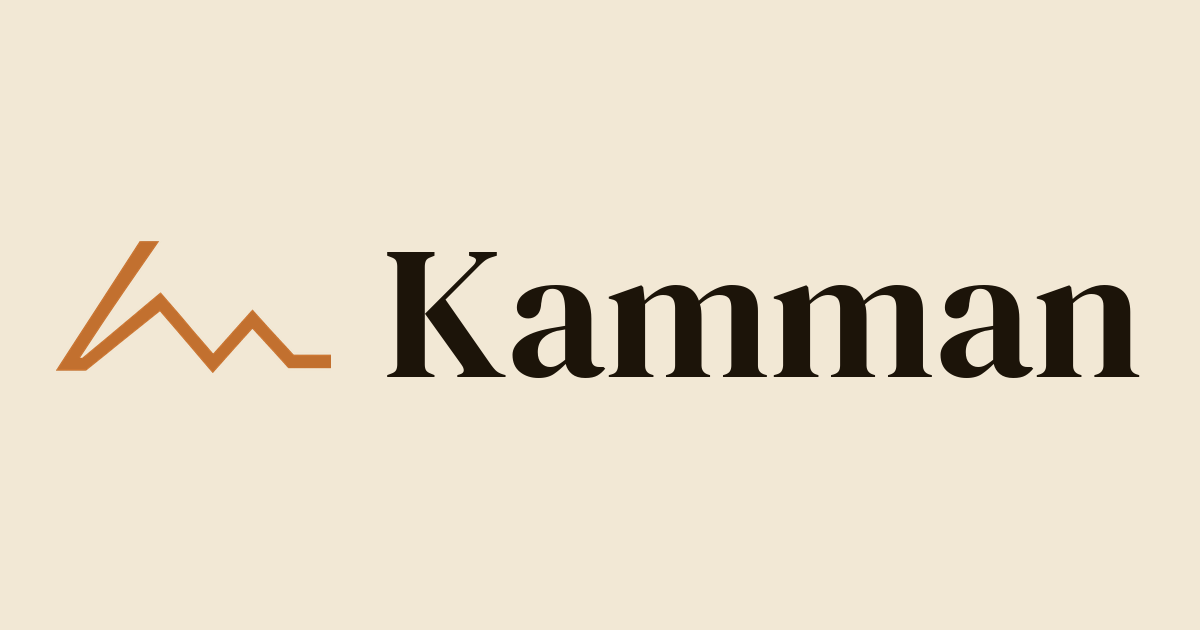 Kamman: приложение для учета расходов и бюджетирования