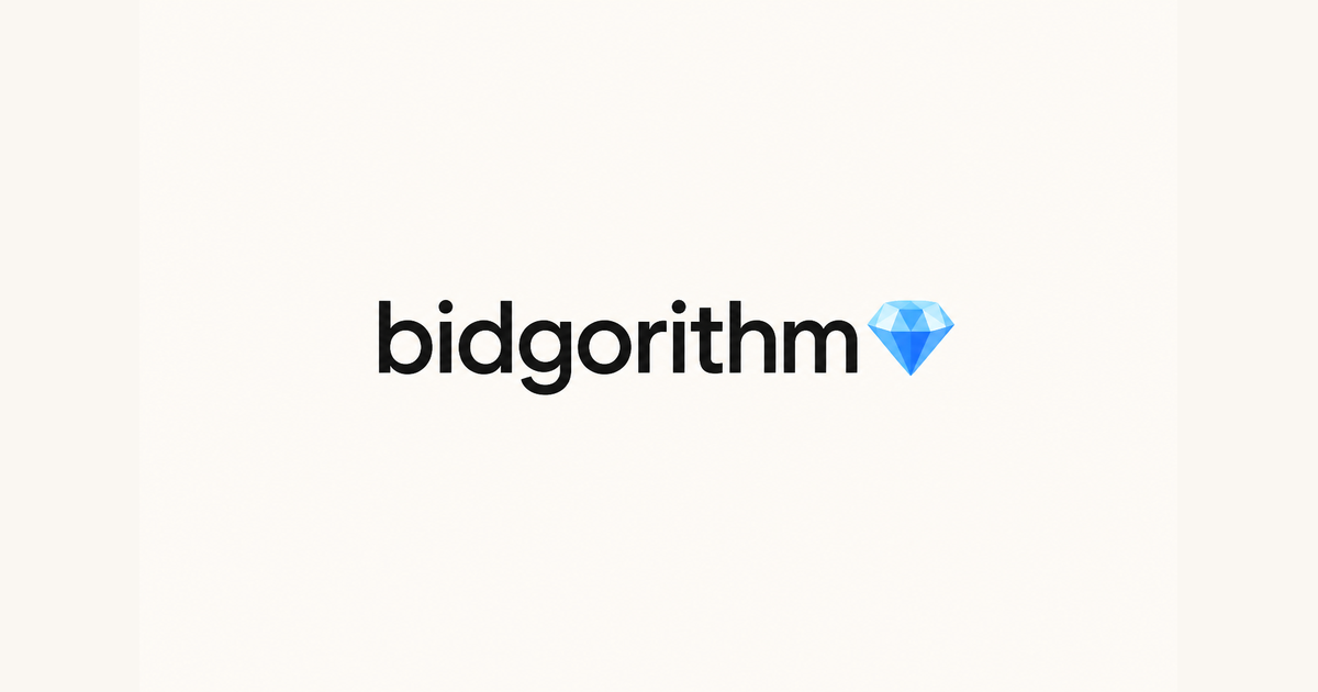 Абсурдный SaaS проект Bidgorithm без алгоритма